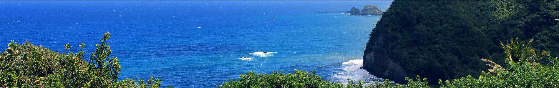 hawaii-coast